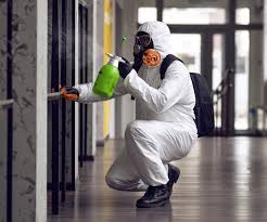 Why You Should Choose Our Mold Remediation Services in Bayard, NE